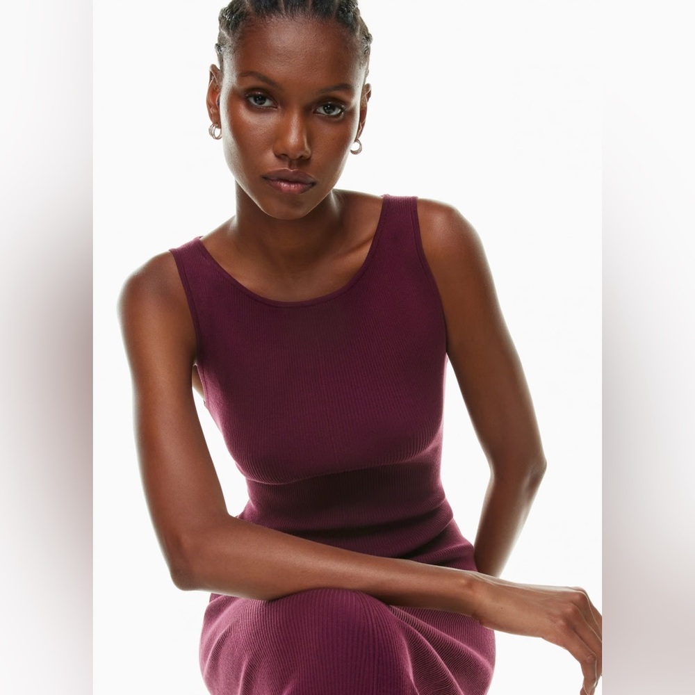 Aritzia Wilfred Tierra Dress, spiced burgundy, body-con dress, 2xs - Picture 6 of 15